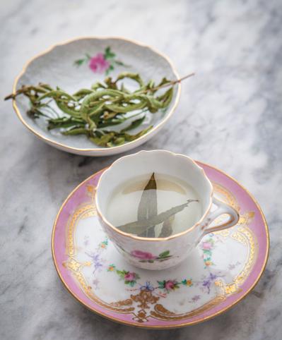 【ハーブガーデニング】香りでリフレッシュできる【レモンバーベナ】の栽培方法と活用アイデア2選（サムネイル画像6）