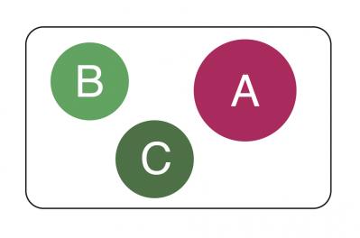 【洋ラン】相性のよいシダ植物との寄せ植え＆寄せ置きでより魅力的！（サムネイル画像5）