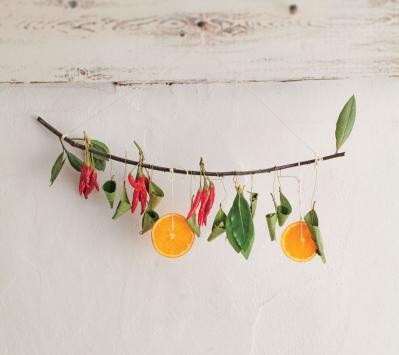 【ハーブガーデニング】料理にもクラフトにも使えて楽しい【ベイ】の栽培方法と活用アイデア3選（サムネイル画像8）