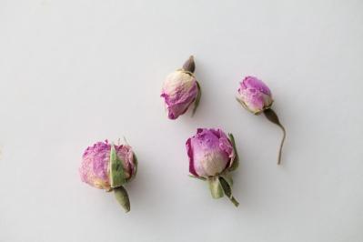 【ガーデニング】育てて楽しいハーブ【ローズ】の栽培方法と活用アイデア4選（サムネイル画像3）