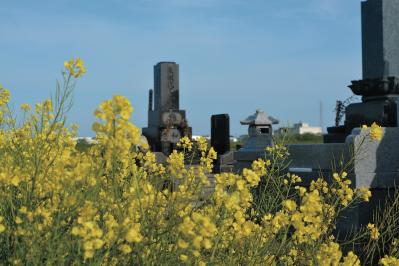 私の実家の墓に入りたいのですが、昔気質の夫に相談できません。【坂東眞理子さん】のすっきり人生相談（サムネイル画像3）