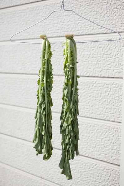 【大根使いきりレシピ】さっと干すとおいしい！ 大根の葉と皮の副菜2選（サムネイル画像3）