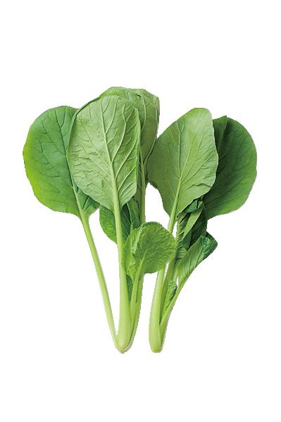 【栄養たっぷり青菜レシピ】小松菜の簡単、おいしい主菜2選「スパニッシュオムレツ」「小松菜と厚揚げの塩辛炒め」（サムネイル画像2）