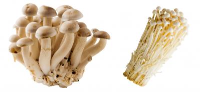 免疫力アップの鍵“βグルカン”を逃さない！知ってほしい、きのこの賢い下ごしらえ（サムネイル画像3）