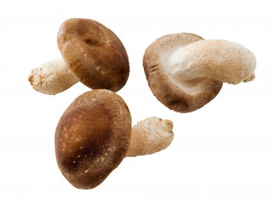 免疫力アップの鍵“βグルカン”を逃さない！知ってほしい、きのこの賢い下ごしらえ（サムネイル画像2）