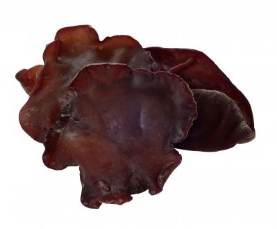 免疫力アップの鍵“βグルカン”を逃さない！知ってほしい、きのこの賢い下ごしらえ（サムネイル画像6）