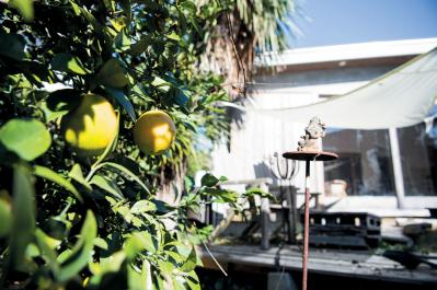 【建築デザイナー・井出しのぶさんのキッチン】ひとり暮らしにちょうどよい設備とは？（サムネイル画像9）