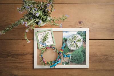 【ハーブガーデニング】料理にもクラフトにも使い勝手バツグンな【ローズマリー】の栽培方法と活用アイデア2選（サムネイル画像7）