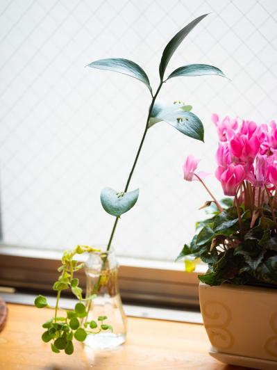 長年続けてきた仕事を“卒業”したショコラさん。暮らしはどう変わった？（サムネイル画像3）