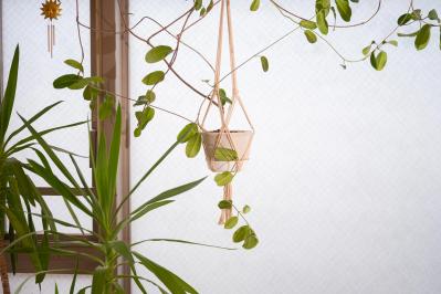 長年続けてきた仕事を“卒業”したショコラさん。暮らしはどう変わった？（サムネイル画像4）