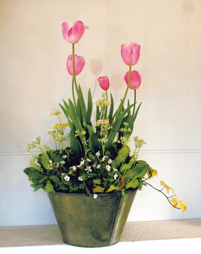 【ガーデニング】どんな花でも素敵に見える鉢は？ 吉谷桂子さんの寄せ植えQ&A（サムネイル画像4）