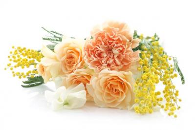 【ガーデニング】2月下旬から冬剪定の作業スタート！バラを若返らせ、よい花を咲かせる（サムネイル画像2）