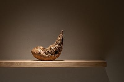 星野リゾートの温泉宿「界 長門」宿泊券プレゼント！歴代の藩主を癒やした温泉と、旬の食材で彩る会席料理を愉しむ（サムネイル画像5）