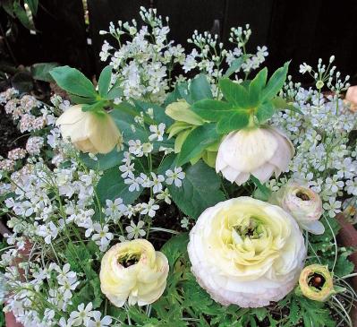 【ガーデニング】同じような印象にならないようにするには？ 吉谷桂子さんの寄せ植えQ&A（サムネイル画像3）