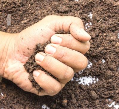 【ガーデニング】鉢植えは土が決め手。見違えるように花が咲く！用土の基礎知識（サムネイル画像5）