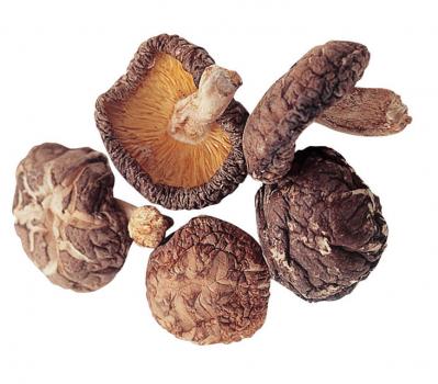 知らなきゃ損！しいたけの向きと干し方次第で栄養が劇的アップ！食物繊維は10倍に！（サムネイル画像5）