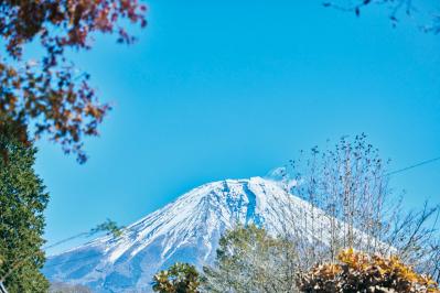 【後編】82歳 ガーデナー 長塚のり子さんの楽しい暮らし。「視点を変えれば、“不便”は“富”のひとつ」（サムネイル画像2）