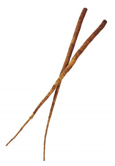 もったいない切り方をしていませんか？「ごぼう」の栄養を逃さないコツ（サムネイル画像2）