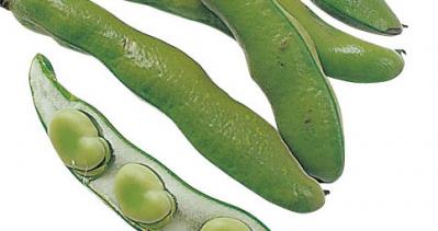 見逃せない！とうもろこしのひげの栄養価と、美味しく飲めるコーン茶の作り方（サムネイル画像3）