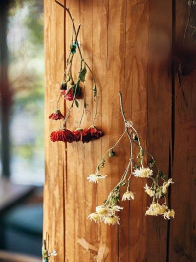 82歳 ガーデナー 長塚のり子さんの楽しい暮らし。「今、やりたいことを懸命に。いつか必ず形になるから」（サムネイル画像3）