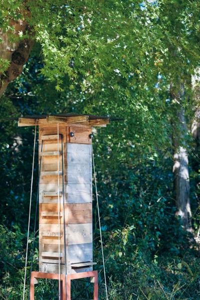 【後編】82歳 ガーデナー 長塚のり子さんの楽しい暮らし。「視点を変えれば、“不便”は“富”のひとつ」（サムネイル画像12）