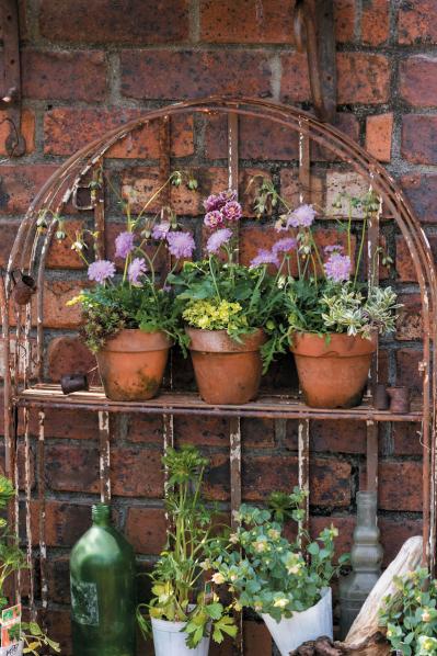 【ガーデニング】フローラ黒田園芸・黒田健太郎さんの春の寄せ植えレッスン（サムネイル画像9）