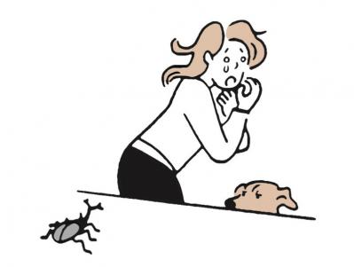 飼い主が苦手なものは犬も苦手？犬が抱える複雑なホンネをひも解く（サムネイル画像2）