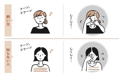 犬は人の気持ちがわかるの？泣いていると、犬が近づいてくる理由（サムネイル画像3）