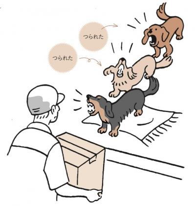 知ってる？犬が飼い主の歌に合わせて遠吠えする理由（サムネイル画像3）