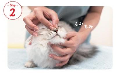 【シニアねこほぐし】ねこの目のまわりがよごれるときに、試してみたいマッサージ　獣医師がアドバイス（サムネイル画像5）