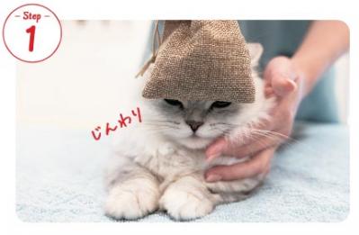【シニアねこほぐし】ねこの目のまわりがよごれるときに、試してみたいマッサージ　獣医師がアドバイス（サムネイル画像4）