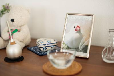 【ひとり暮らしのお宅拝見】60代、YouTuberのyamaさん「持ち家を手放したら一気に身軽に。質素ながら自由な暮らしを満喫中」（サムネイル画像10）