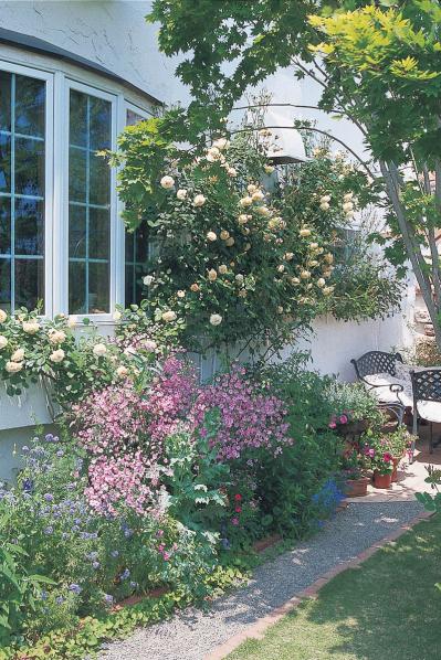 【狭い場所でのガーデニング】小さな花壇、アプローチを美しく飾るコツとは？（サムネイル画像6）