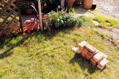 【狭い場所でのガーデニング】レンガを並べるだけで簡単、おしゃれな縁取り花壇のつくり方（サムネイル画像2）