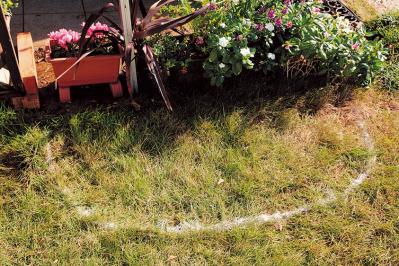 【狭い場所でのガーデニング】レンガを並べるだけで簡単、おしゃれな縁取り花壇のつくり方（サムネイル画像5）