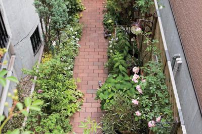 【狭い場所でのガーデニング】小さな花壇、アプローチを美しく飾るコツとは？