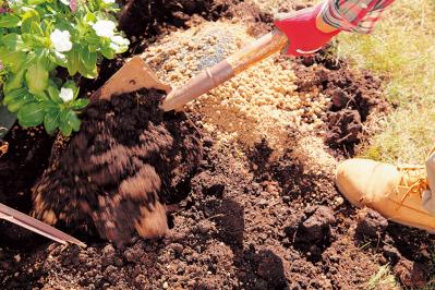 【狭い場所でのガーデニング】レンガを並べるだけで簡単、おしゃれな縁取り花壇のつくり方（サムネイル画像11）