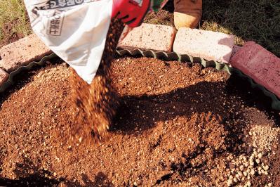 【狭い場所でのガーデニング】レンガを並べるだけで簡単、おしゃれな縁取り花壇のつくり方（サムネイル画像17）