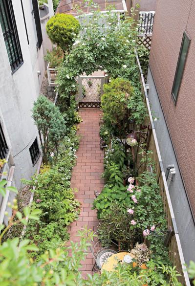 【狭い場所でのガーデニング】小さな花壇、アプローチを美しく飾るコツとは？（サムネイル画像8）