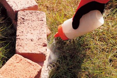 【狭い場所でのガーデニング】レンガを並べるだけで簡単、おしゃれな縁取り花壇のつくり方（サムネイル画像4）