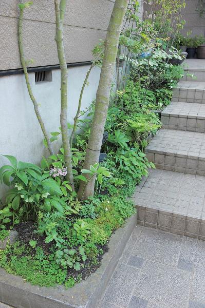 【狭い場所でのガーデニング】小さなスペースを無駄なく利用するアイデアとは？（サムネイル画像6）