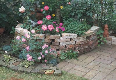 【狭い場所でのガーデニング】小さな花壇、アプローチを美しく飾るコツとは？（サムネイル画像5）