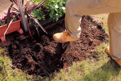 【狭い場所でのガーデニング】レンガを並べるだけで簡単、おしゃれな縁取り花壇のつくり方（サムネイル画像10）