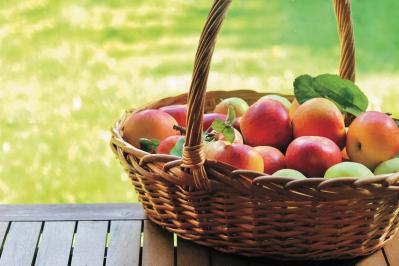 モラハラ夫と離婚、子育ても終わった今、無気力状態から抜け出せません。【坂東眞理子さん】のすっきり人生相談（サムネイル画像4）