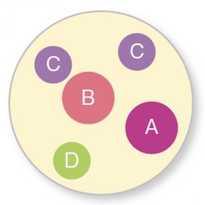 【ガーデニング】丈夫で初心者にもおすすめ！「ゼラニウム」の寄せ植え（サムネイル画像6）