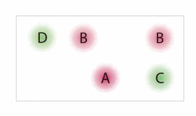 【ガーデニング】秋までたくさんの花が次々と咲く！ 吉谷桂子さんの「ペチュニア」の寄せ植え（サムネイル画像6）