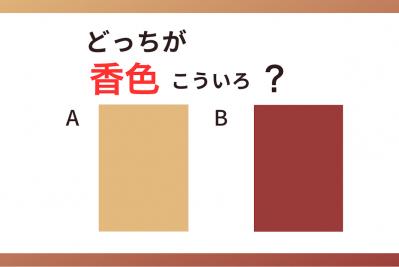 【色の名前クイズ】どっちが「香色（こういろ）」？（サムネイル画像）