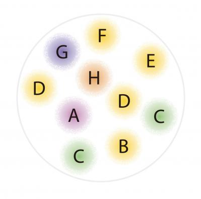 【ガーデニング】花色から元気をもらえる！「黄色いオステオスペルマム」の寄せ植え（サムネイル画像5）