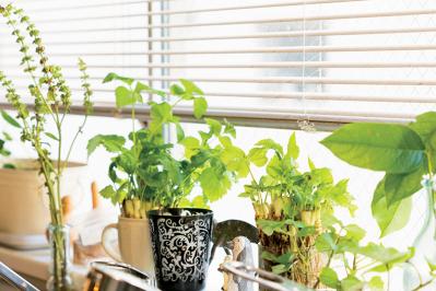 料理研究家・枝元なほみさん「人と比べないと心に決めたら、人の目が気にならなくなりました」【前編】（サムネイル画像7）