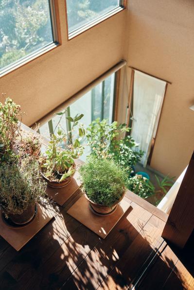 60歳一級建築士・田中ナオミさん「仕事一筋だったけど、体を壊して気づいた”いちばん大切なもの”」（サムネイル画像3）